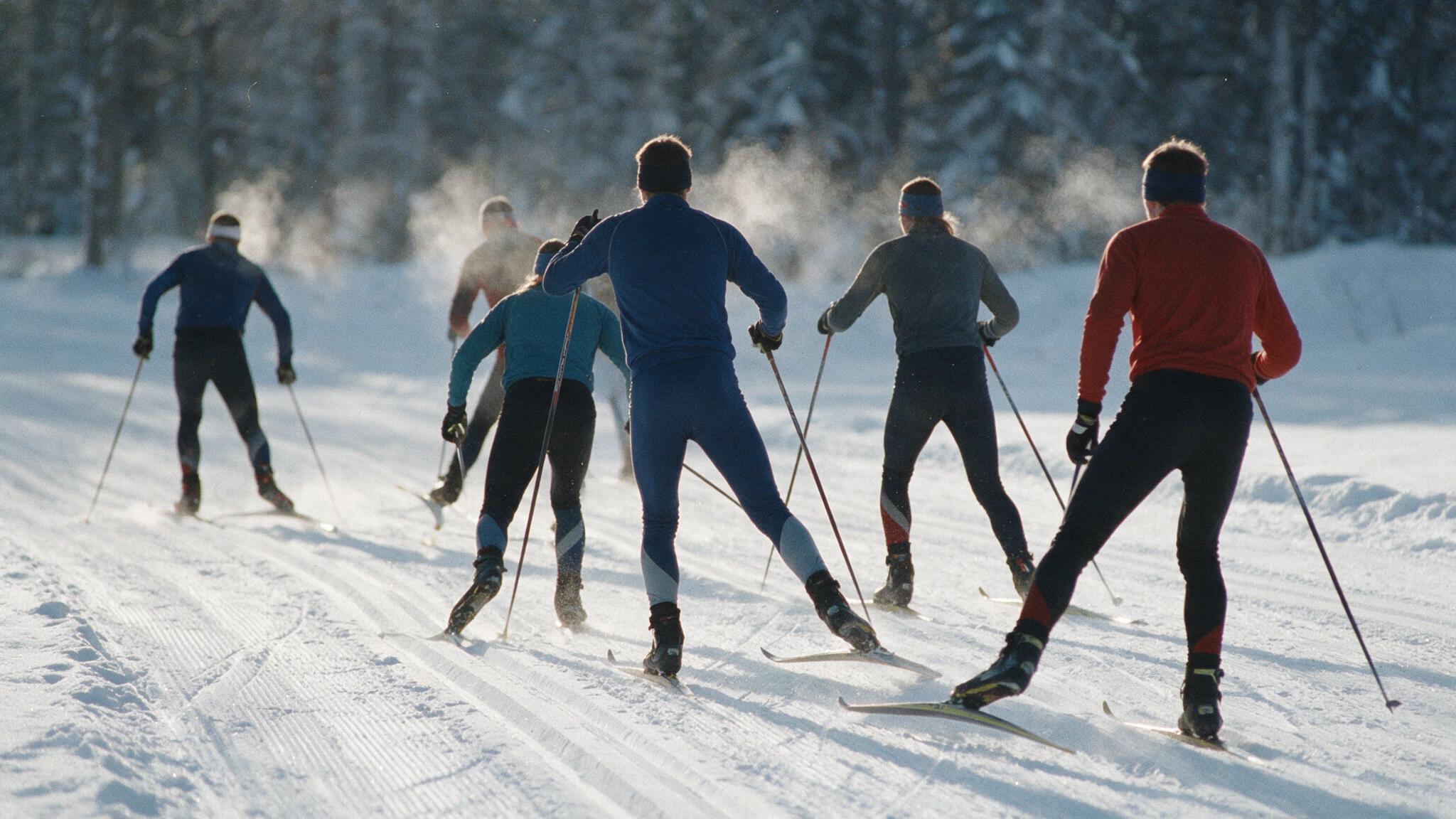 Groupe de skieurs de fond d'un club à l'entraînement sur une piste damée en tenues techniques personnalisées